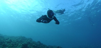 Free diving gatherings and activities 